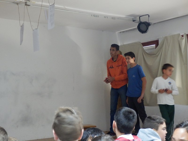 FERIA C T 035 [800x600]